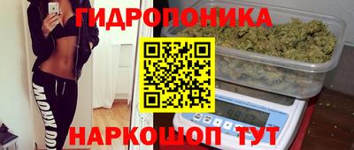a pvp Кимры