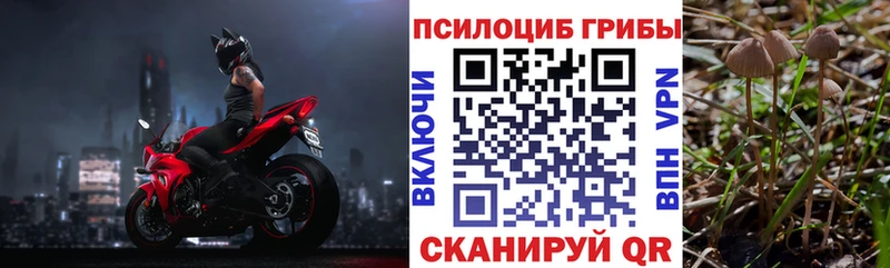 Псилоцибиновые грибы GOLDEN TEACHER  Красноярск 