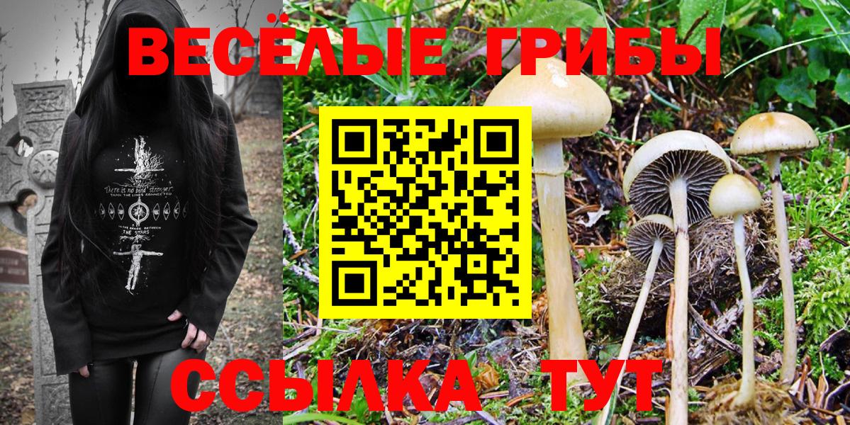 Псилоцибиновые грибы GOLDEN TEACHER  Псилоцибиновые грибы Psilocybe  Вход с VPN  Красноярск 